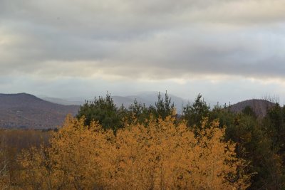 October 2010: North Conway Area, NH (including White Mountain National Forest Area)