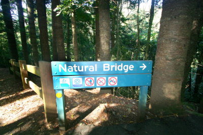 Natural Bridge walking track