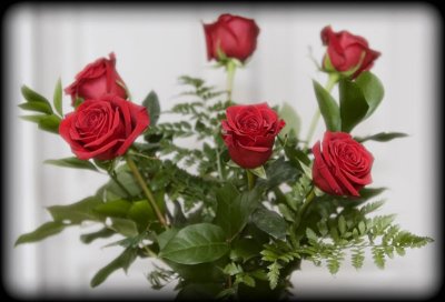 Valentine Roses - 2008