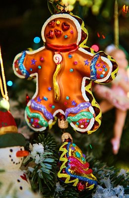 Gingerbread Cookie