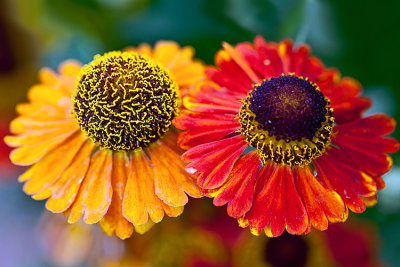 g1/60/609360/3/126187645.CQhx2jh4.jpg