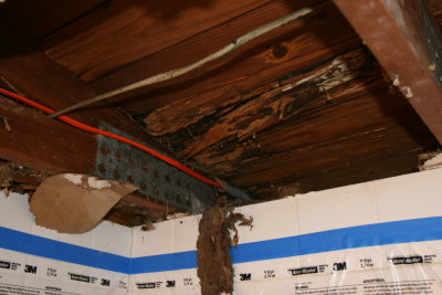 My 6300 Dollar Bathroom Ceiling Repair Job...........