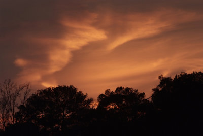 Sunset Tallahassee.jpg