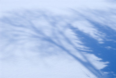 Shadows 7298.jpg