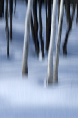 Shadows 7331.jpg