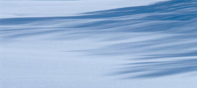 Shadows 7342.jpg