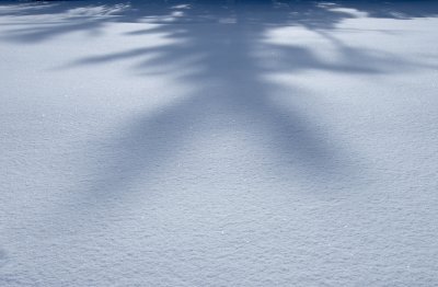 Shadows 7347.jpg