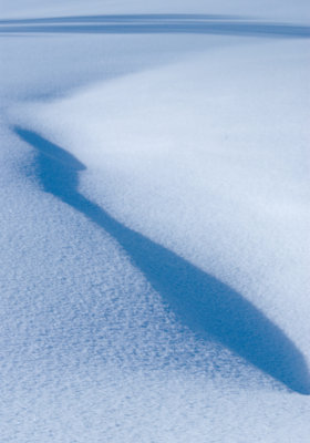 Shadows 7364.jpg