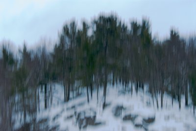 Pine Tree Ridge 7632.jpg