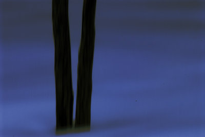 Lost in the mist of time 7536.jpg