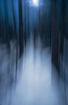 Winter Blue 1    7942.jpg