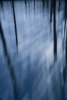 Winter Blue 2 F 7952.jpg