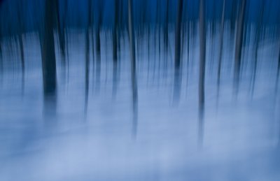 Winter Blue 3 F 7956.jpg