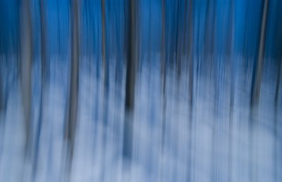 Winter Blue 4  7981.jpg
