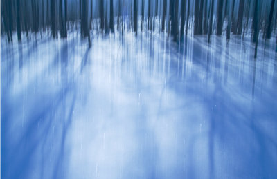 Winter Blue 5  F 8055.jpg