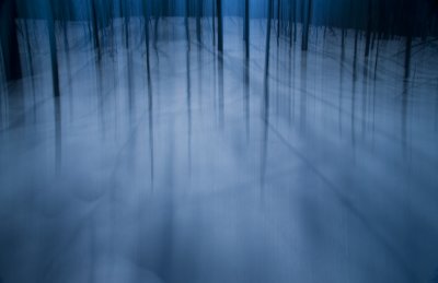 Winter Blue 6  F 7983.jpg