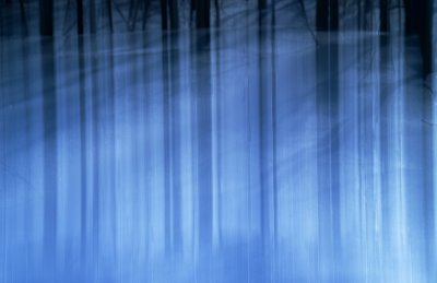 Winter Blue 8  F 8056 v2.jpg