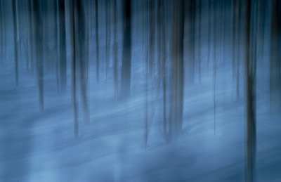 Winter Blue 9    8067.jpg