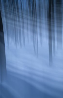 Winter Blue 10 F  8456.jpg