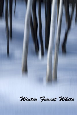 Winter Forest White Title  7331.jpg