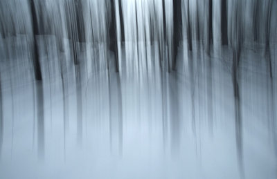 Winter White 2  F 8234.jpg