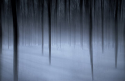Winter White 3  F 8446.jpg
