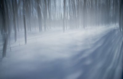 Winter White 4  F 8279.jpg