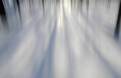 Winter White 5  F 7703 v4.jpg