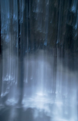 Winter White 10    8230.jpg