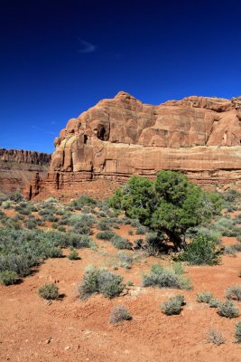 Arches National Park Utah
