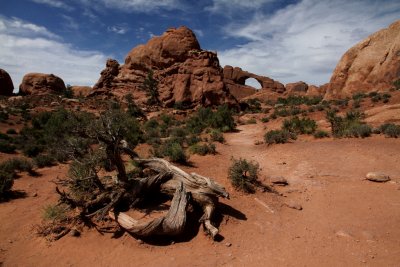 Arches National Park Utah