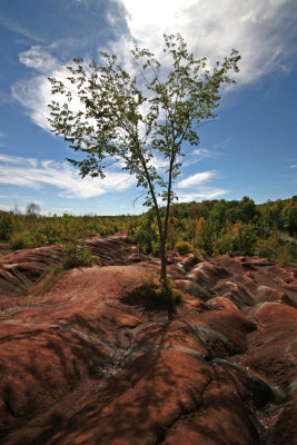 Ontario Badlands