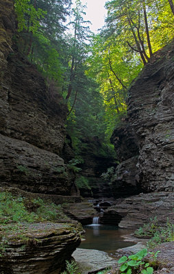 Watkins Glen New York