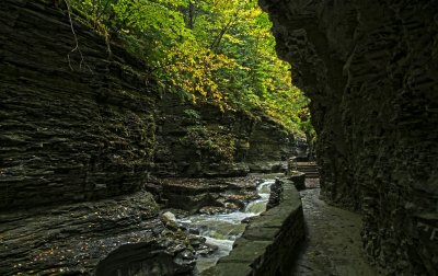 Watkins Glen New York