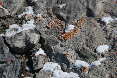 Rocks & Snow
