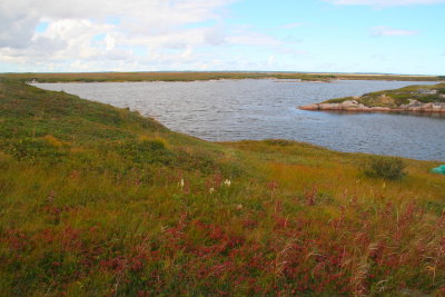 Grassy Slope Down to the Water