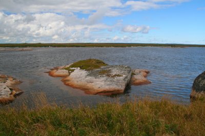 Rocks in the Harbour