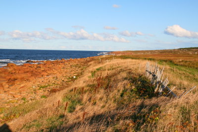 The Old Fence