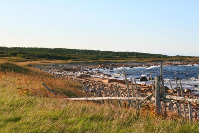 The Old Fence