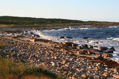 Near Musgrave Harbour