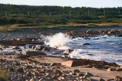 Near Musgrave Harbour