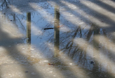 Reflection on Shadow