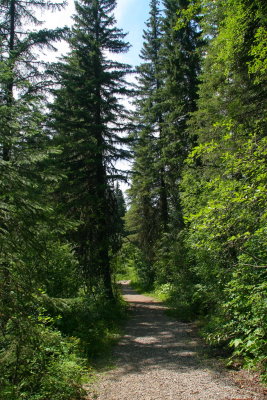 Hiking Trail