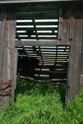 Shed Door