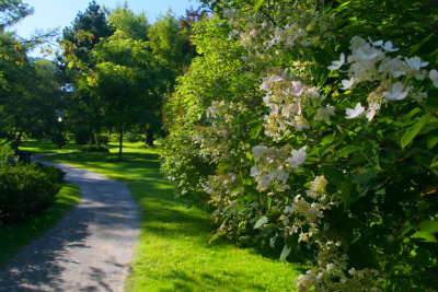 Pathway Through the Gardens