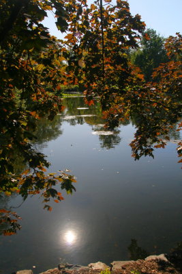 Pond in the Gardens