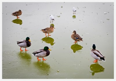 IMG_2817.jpg
