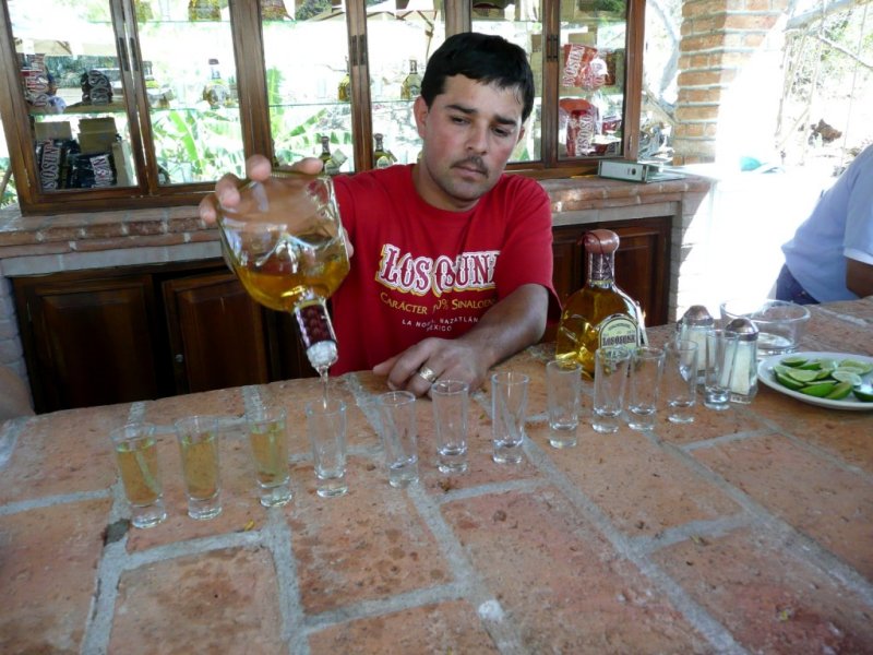 Tequila Ready for Tasting