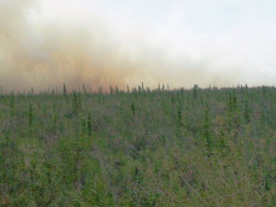 Forest Fire Flaring Back Up