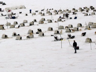 Dog Camp on Norris Glacier